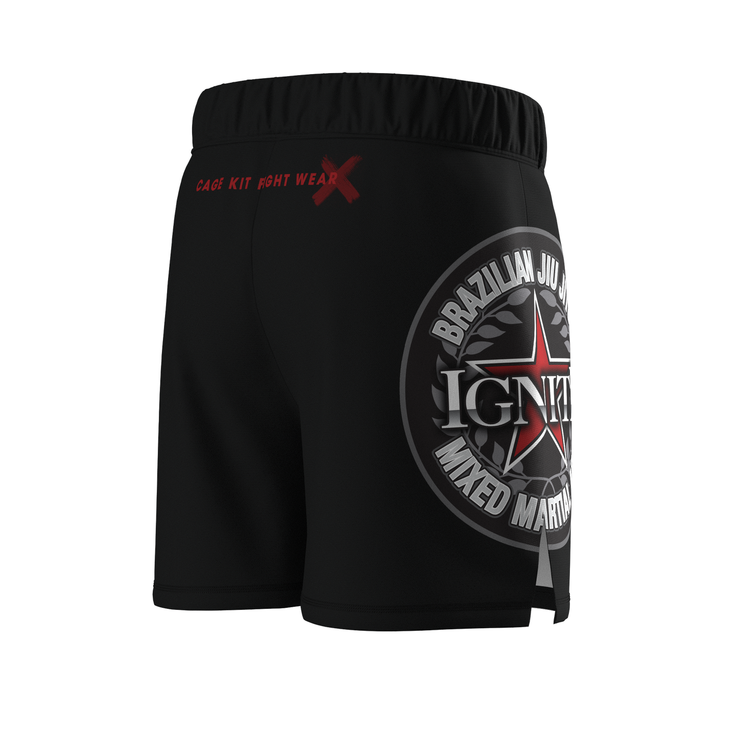 IGNITE Hybrid MMA Shorts (2024)